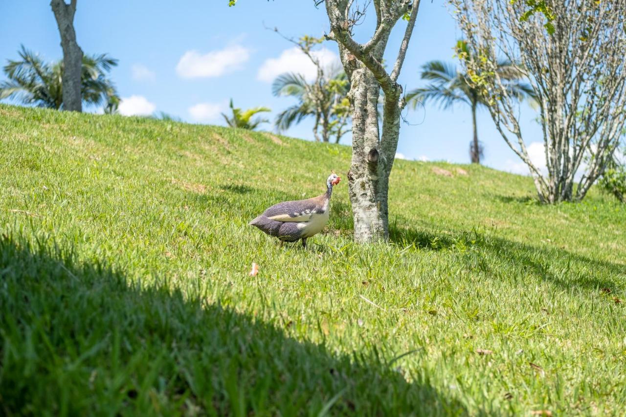 Sitio Paraiso Villa Vassouras Eksteriør billede